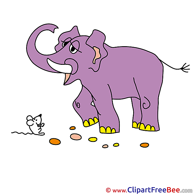 Elephant Pics download Illustration