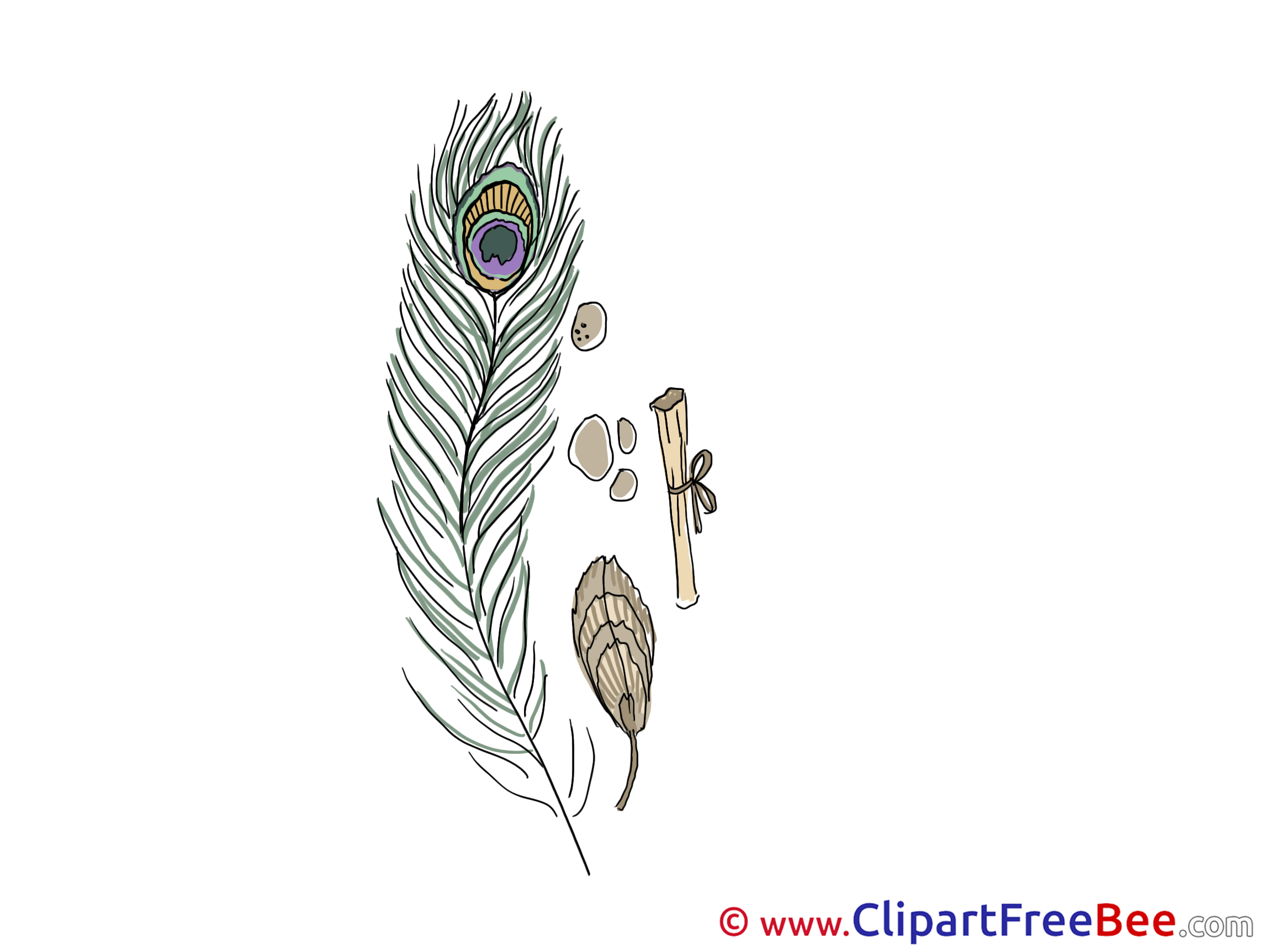Feather download printable Illustrations