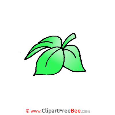 Leaves Images download free Cliparts