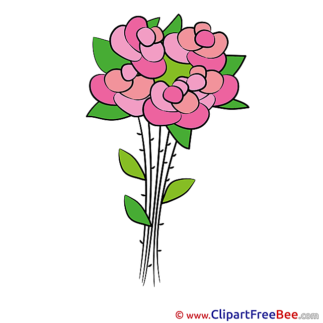 Roses Flowers Pics download Illustration