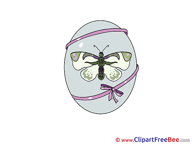 Butterfly Egg Pics Easter free Image
