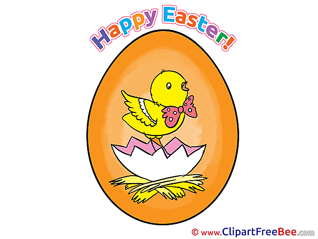 Chicken Easter Illustrations for free