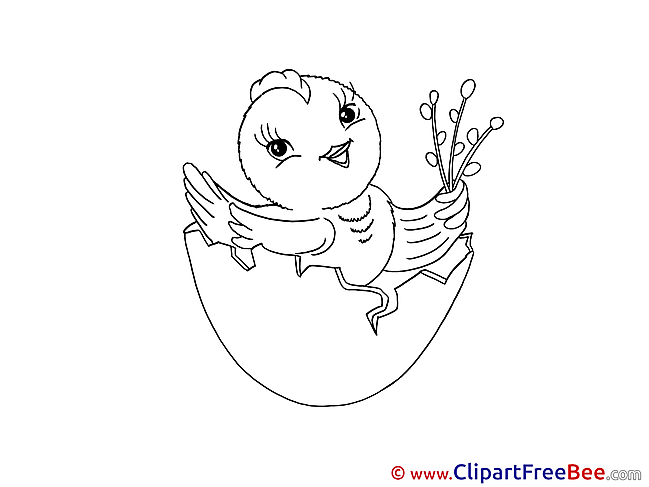 Shell Egg Chicken Pics Easter Illustration