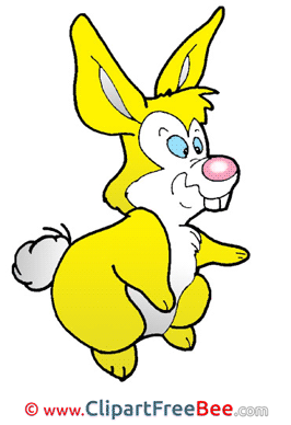 Yellow Hare free Illustration Easter