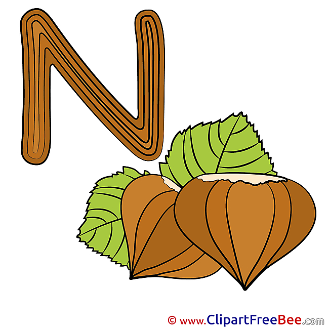 N Nut printable Illustrations Alphabet