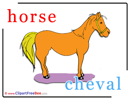 Horse Cheval download Alphabet Illustrations