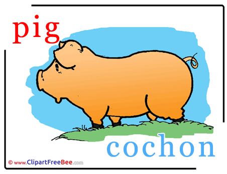 Pig Cochon Alphabet Clip Art for free