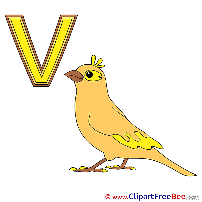 V Vogel Clipart Alphabet Illustrations