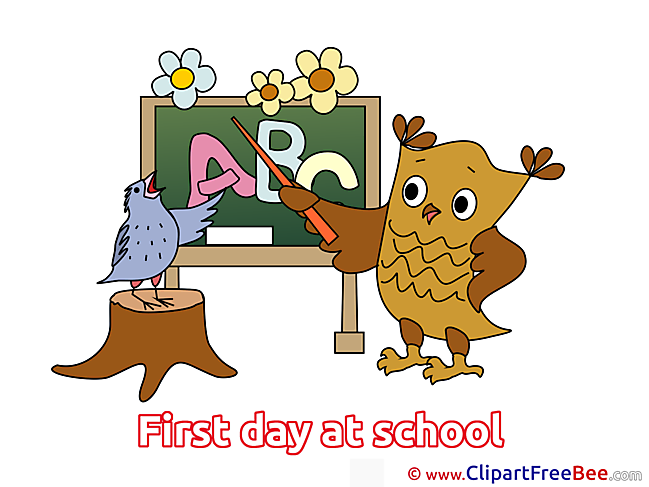 Owl Bird Letters Alphabet First Day at School free Images download