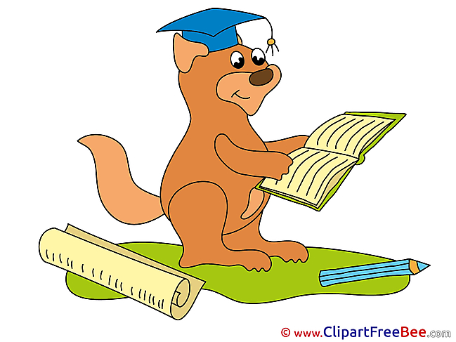Squirrel Pics Graduation Illustration