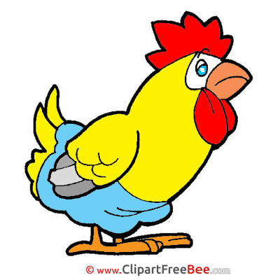 Chicken Images download free Cliparts