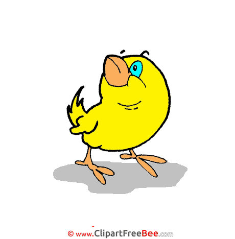 Drawing Bird Pics free Illustration