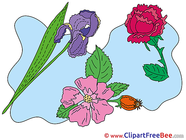 Garden Flowers Clipart free Illustrations