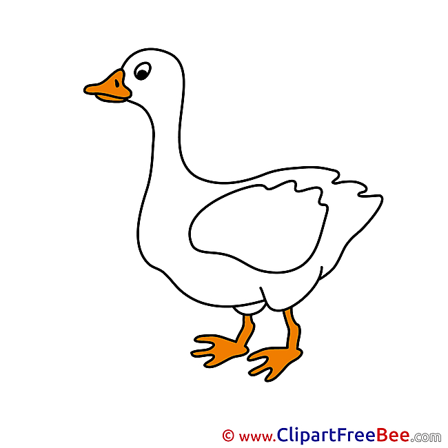 Goose Images download free Cliparts