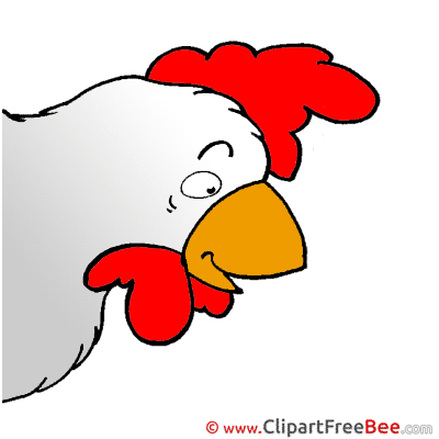 Hen Clip Art download for free