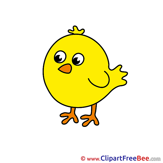 Little Chick free Cliparts for download