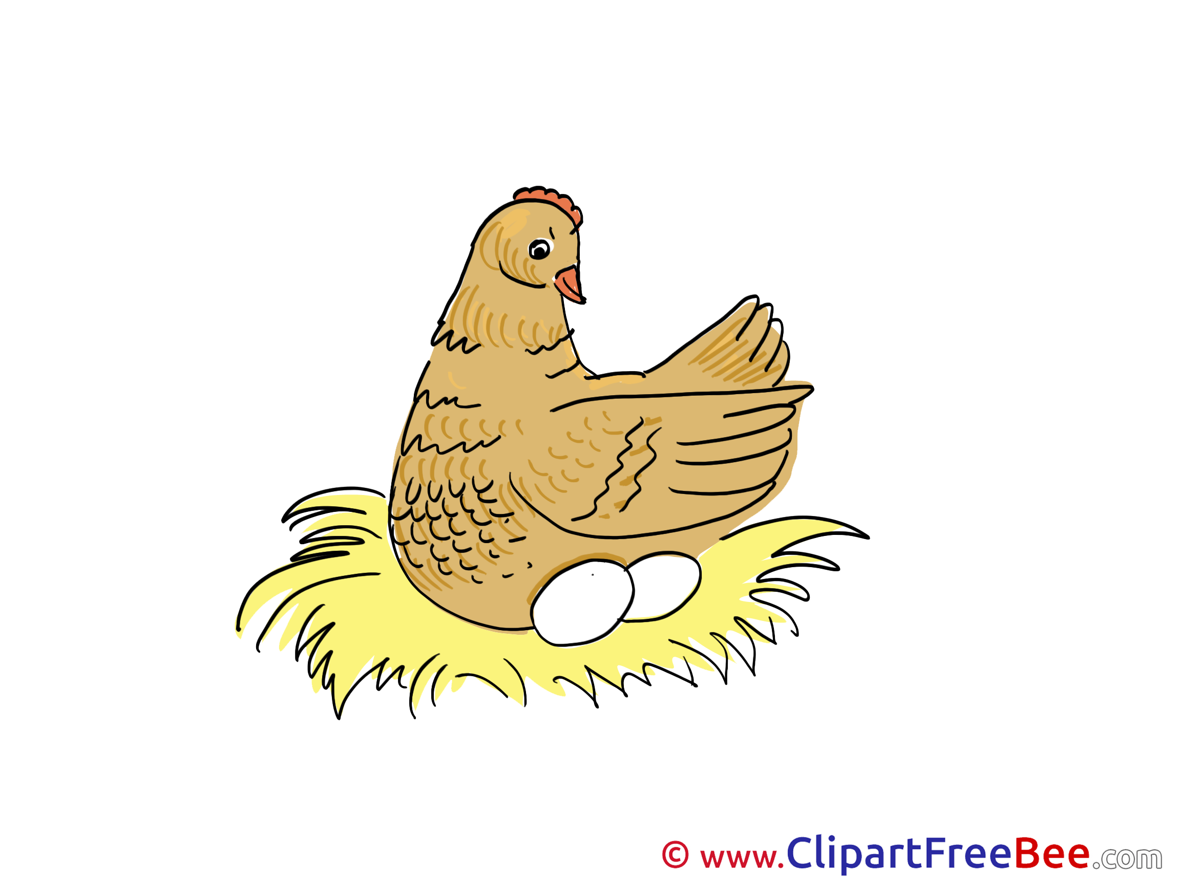 Nesting Chicken free printable Cliparts and Images