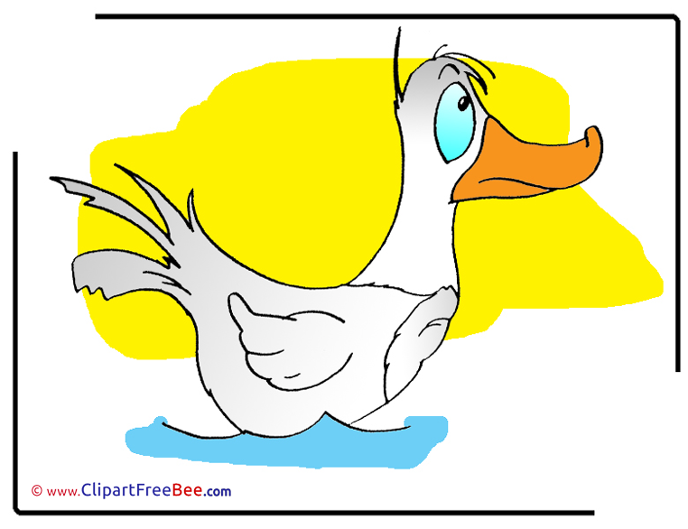 Picture Duck free Cliparts for download
