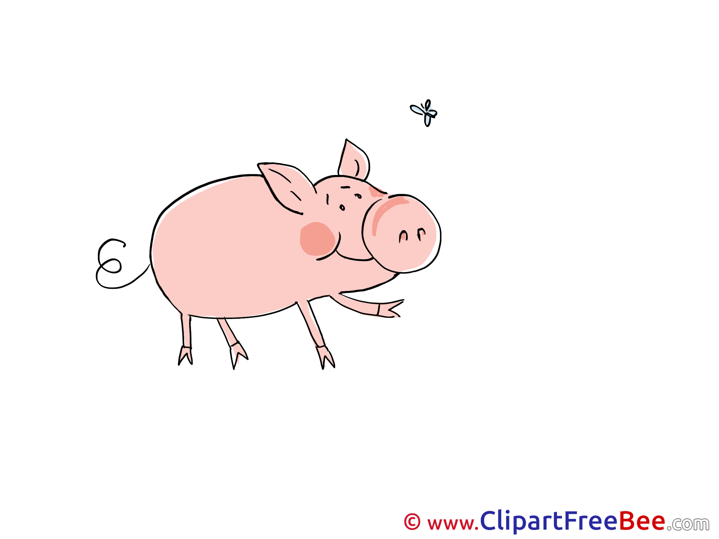 Pig Fly Clipart free Image download