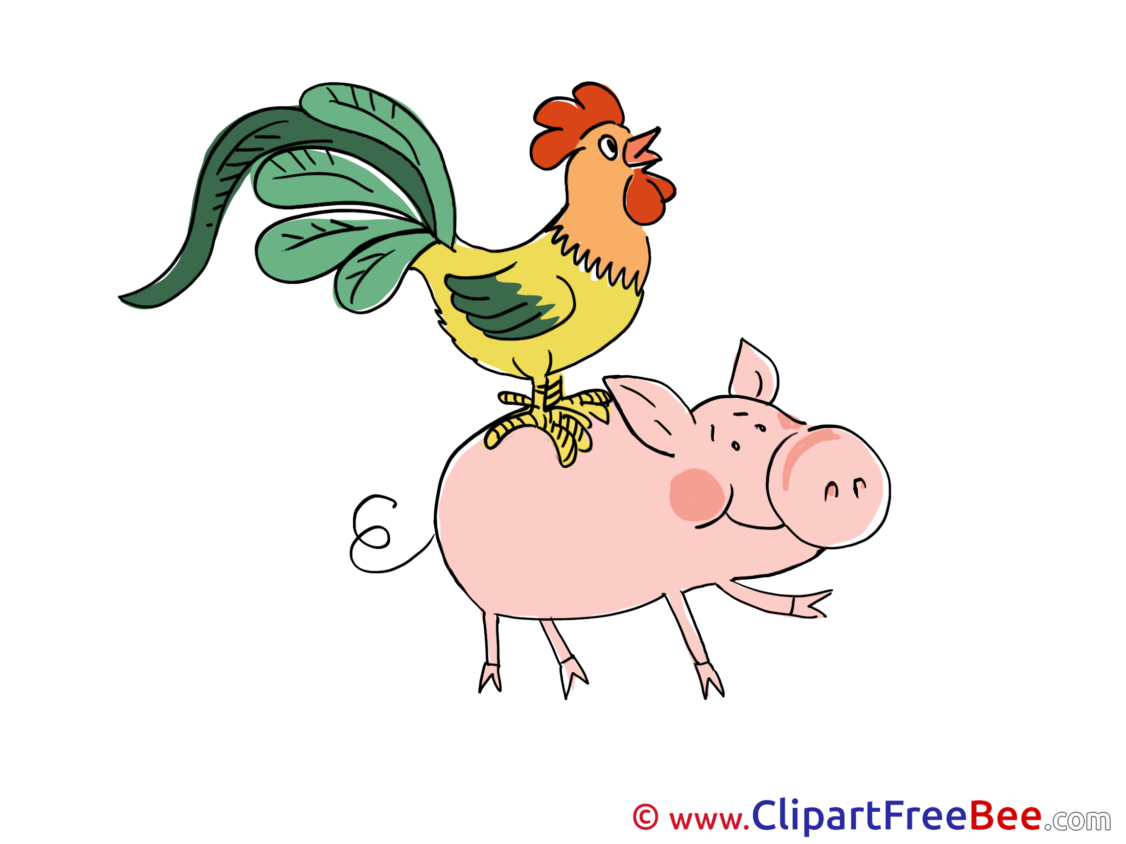 Piggy Chicken Clipart free Illustrations