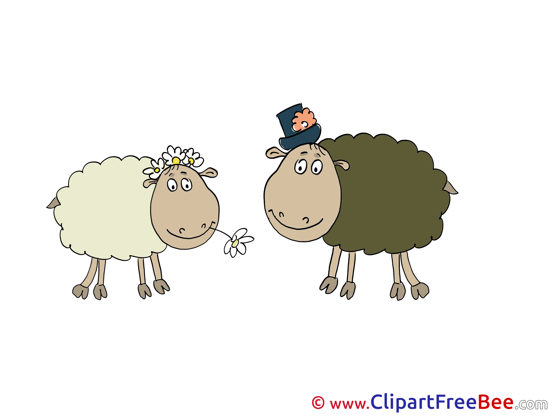 Sheeps Images download free Cliparts