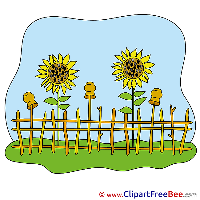 Sunflowers Fence Pics download Illustration