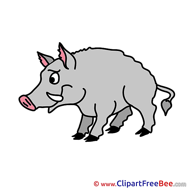 Wild Boar Cliparts printable for free