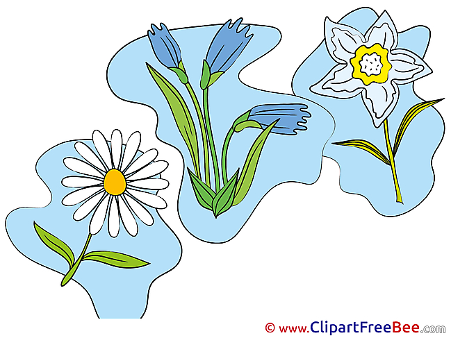 Beautiful free Illustration Flowers