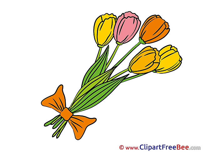 Bouquet Clipart Flowers Illustrations
