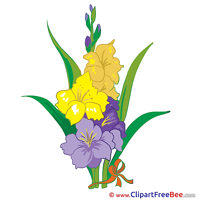 Hibiscus Clipart Flowers Illustrations