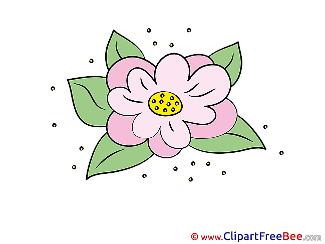 Lily download Clipart Flowers Cliparts