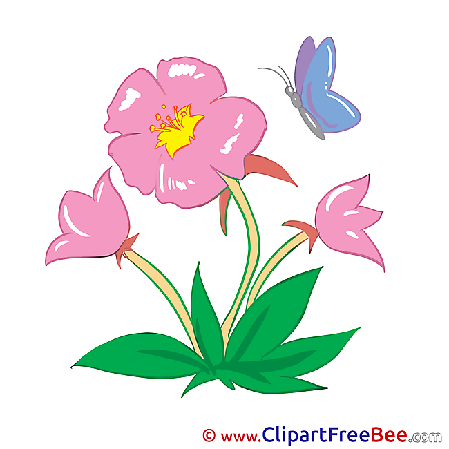 Marshmallow free Cliparts Flowers
