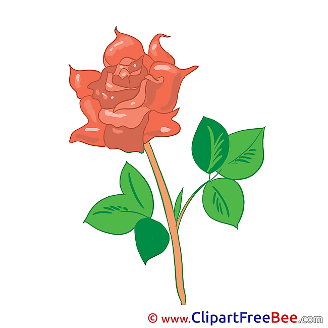 Rose Cliparts Flowers for free