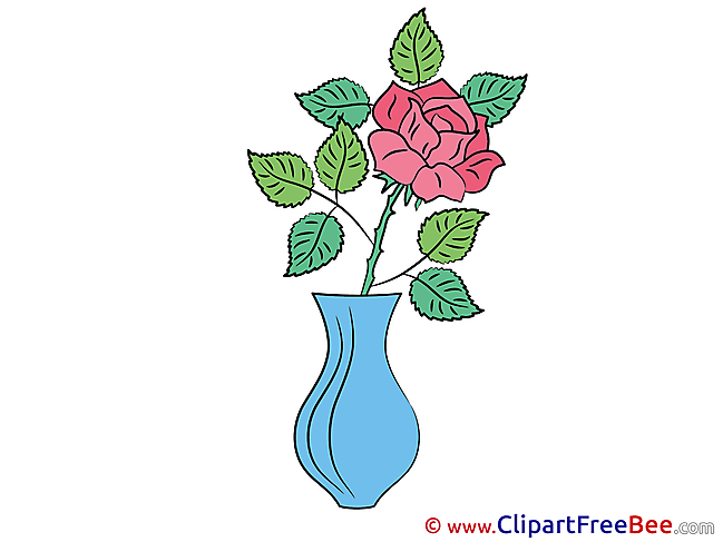 Rose Vase Pics Flowers free Image