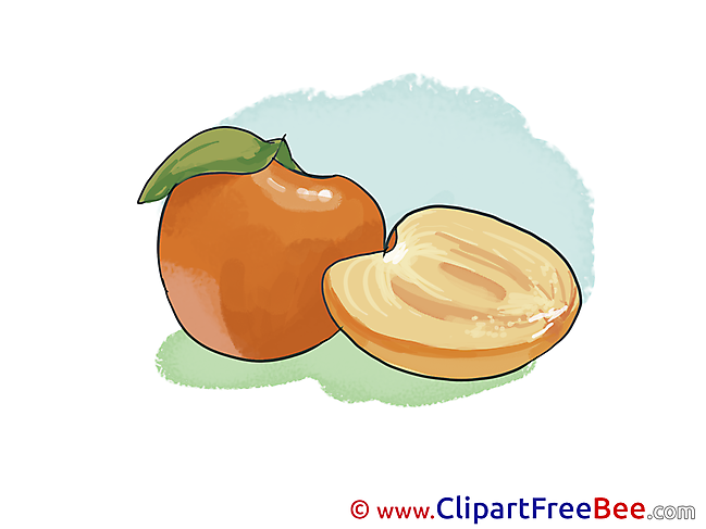 Apricot Pics free Illustration