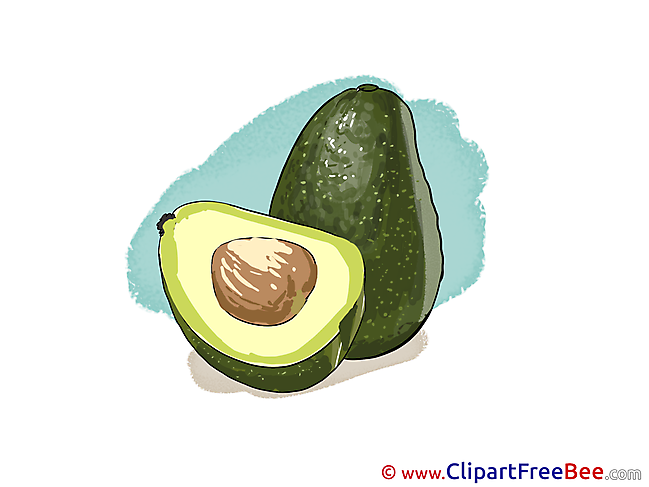 Avocado Clipart free Image download