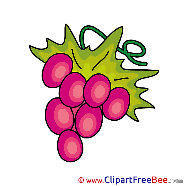 Berry Grape Images download free Cliparts