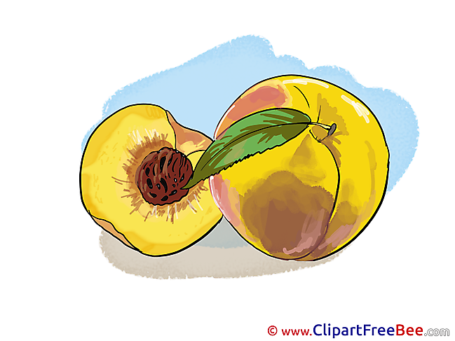 Peaches Clipart free Image download