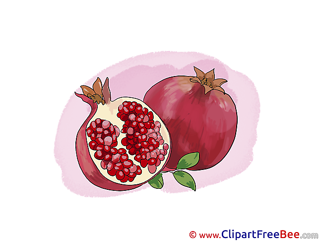 Pomegranate Cliparts printable for free