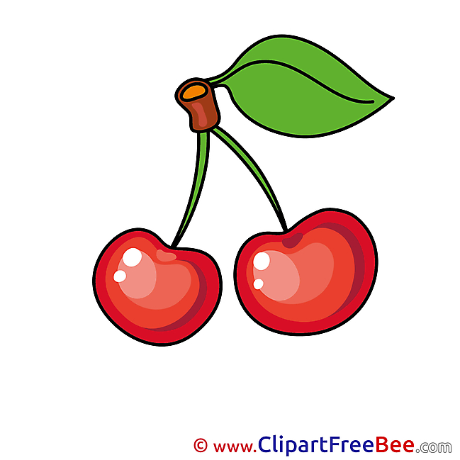 Ripe Cherries Pics free download Image