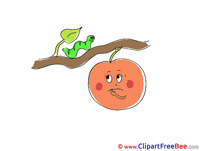 Worm Branch Fruit Pics free download Image