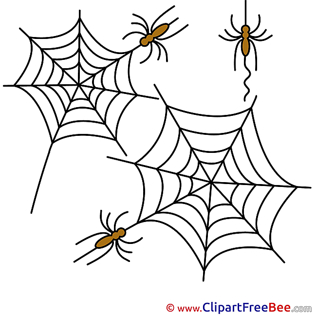 Arachnida Spiders Web free Illustration Halloween