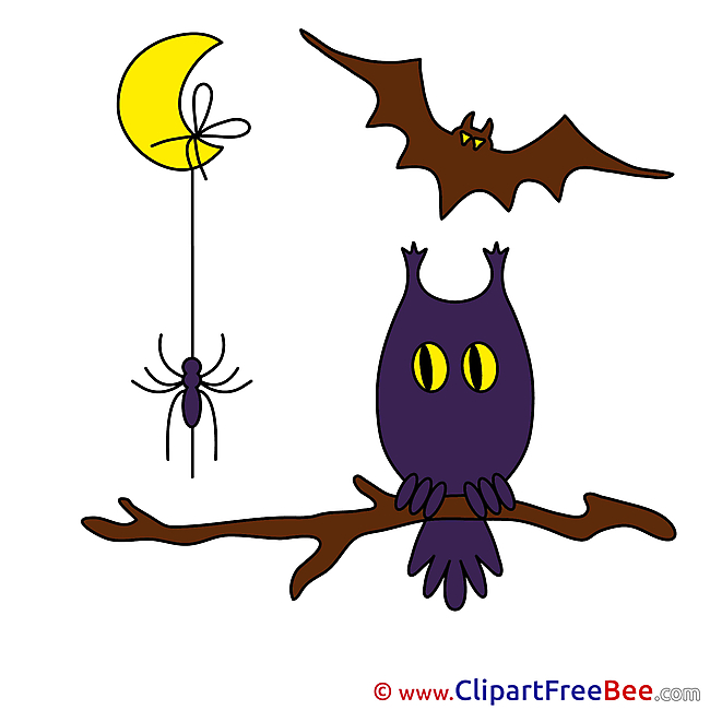 Branch Spider Bat Moon free Cliparts Halloween