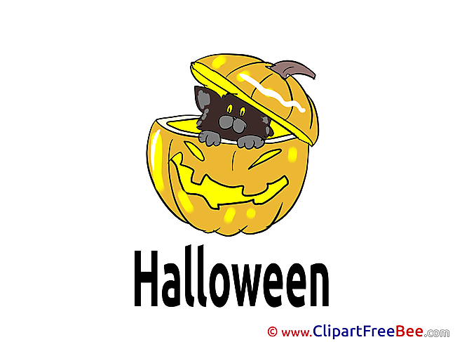 Kitten Pumpkin Pics Halloween free Cliparts