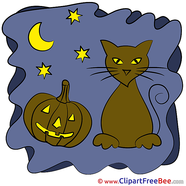 Night Cat Pumpkin Halloween Illustrations for free
