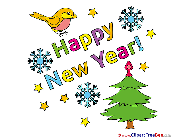 Bird Tree New Year free Images download