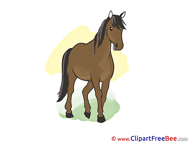Animal Clipart Horse free Images