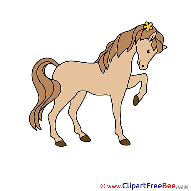 Beautiful Horse download Illustration