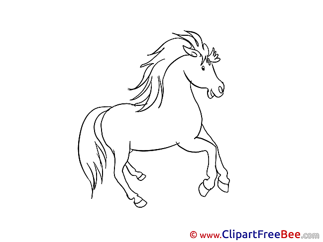 Clipart Illustrations Horse