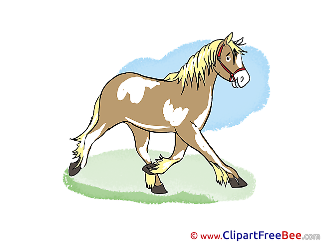 Cliparts Horse for free